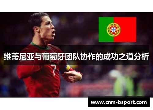 维蒂尼亚与葡萄牙团队协作的成功之道分析