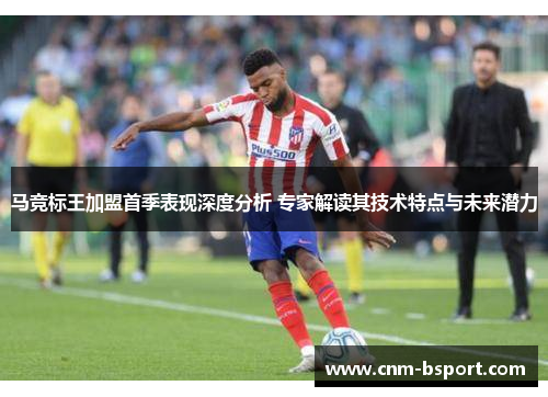 马竞标王加盟首季表现深度分析 专家解读其技术特点与未来潜力