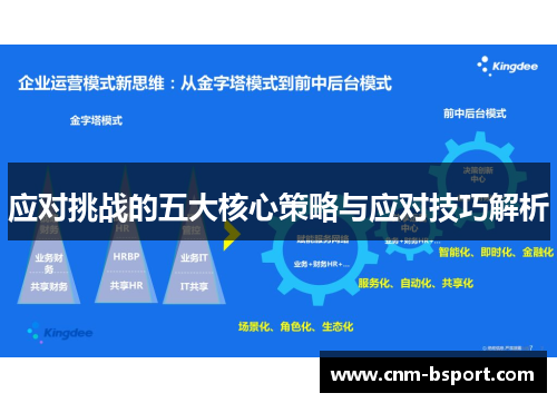 应对挑战的五大核心策略与应对技巧解析