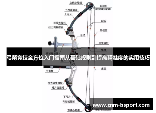 弓箭竞技全方位入门指南从基础规则到提高精准度的实用技巧