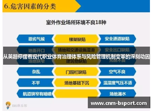 从英超停摆看现代职业体育治理体系与风险管理机制变革的深刻动因 从英超停摆看现代职业体育治理体系与风险管理机制变革的深刻动因