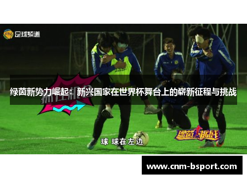 绿茵新势力崛起：新兴国家在世界杯舞台上的崭新征程与挑战