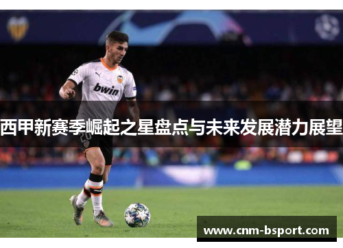 西甲新赛季崛起之星盘点与未来发展潜力展望