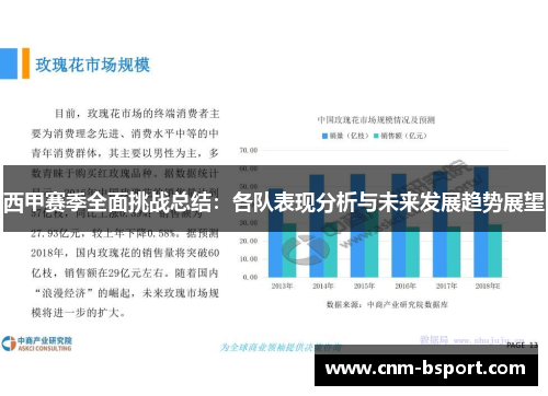 西甲赛季全面挑战总结：各队表现分析与未来发展趋势展望