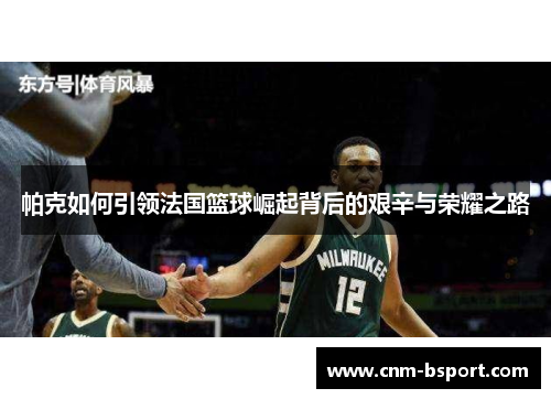 帕克如何引领法国篮球崛起背后的艰辛与荣耀之路