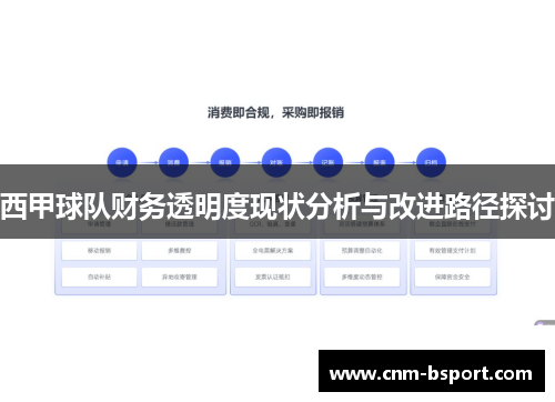 西甲球队财务透明度现状分析与改进路径探讨