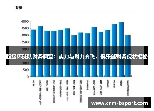 超级杯球队财务调查：实力与财力齐飞，俱乐部财务现状揭秘