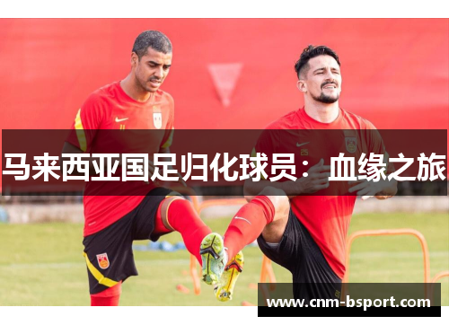 马来西亚国足归化球员:血缘之旅 马来西亚国足归化球员:血缘之旅