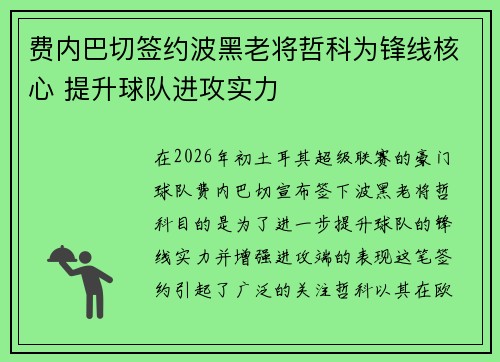 费内巴切签约波黑老将哲科为锋线核心 提升球队进攻实力 费内巴切签约波黑老将哲科为锋线核心 提升球队进攻实力