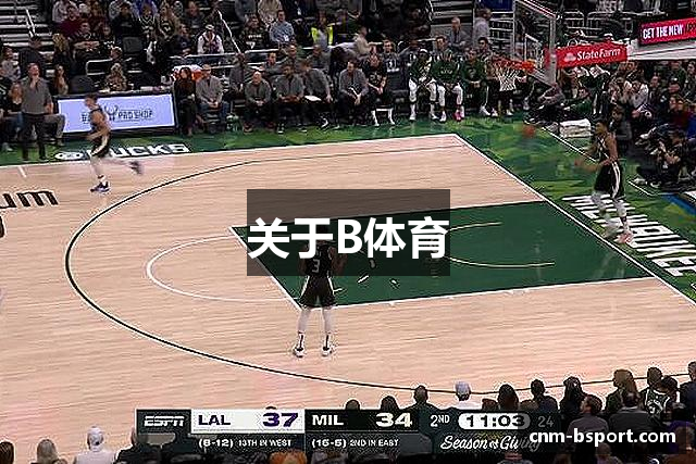 关于B体育